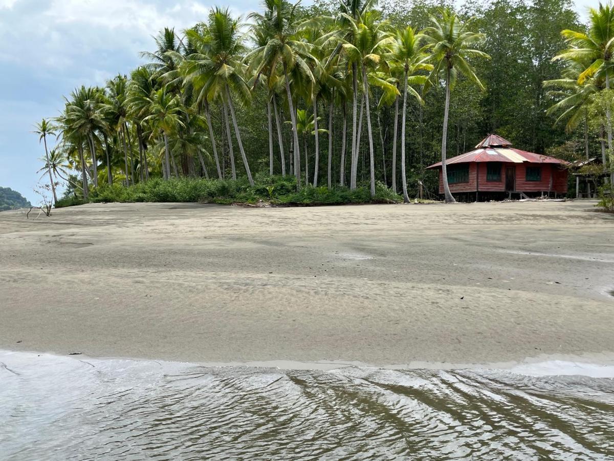 Hotelsonidosamados-Osa Sierpe Exteriör bild